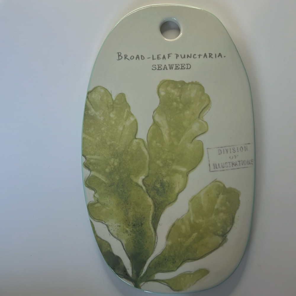 Broad-Leaf Punctaria Seaweed Illustrated Botany Ceramic Cheeseboard Trivet